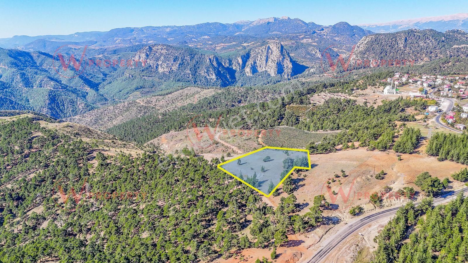 W Property Güzelyayla'da Ormanla Çevrili 12.722 M² - Görsel 5