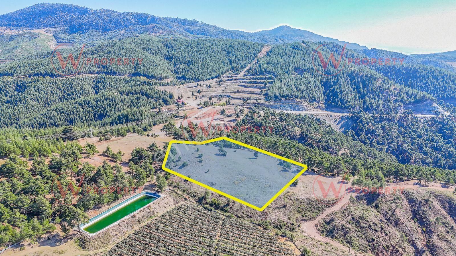 W Property Güzelyayla'da Ormanla Çevrili 12.722 M² - Görsel 3