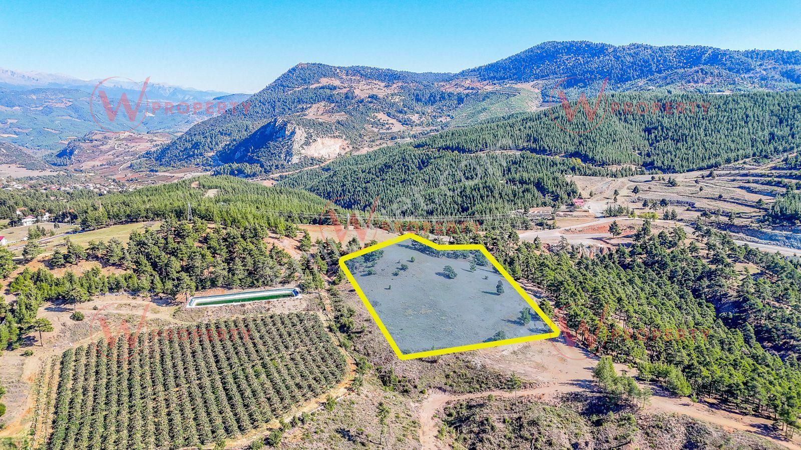 W Property Güzelyayla'da Ormanla Çevrili 12.722 M² - Görsel 4