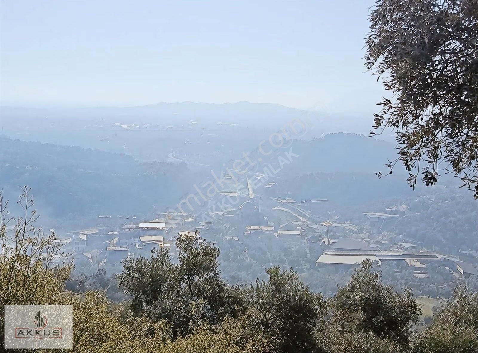 Akkuş Emlak'tan Acil Satılık Zeytinlik - Görsel 25