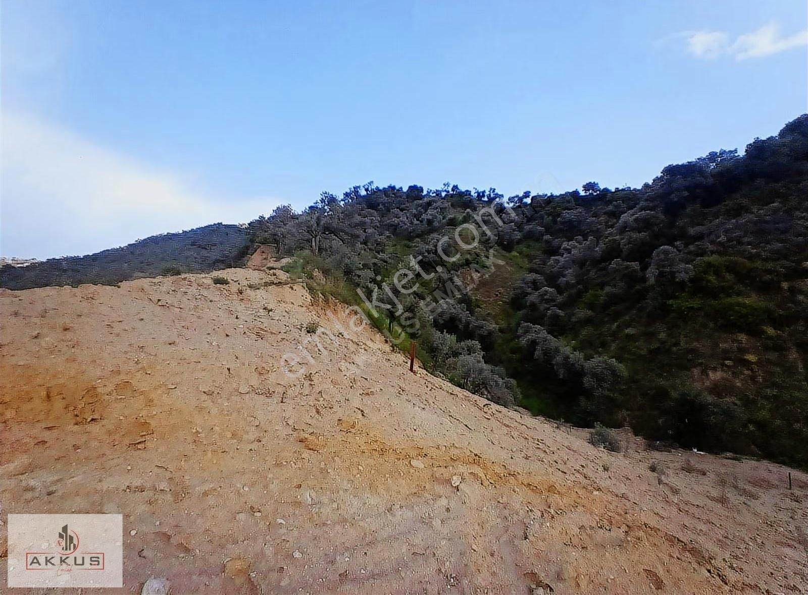 Akkuş Emlak'tan Baraj Manzaralı Zeytinlik - Görsel 25