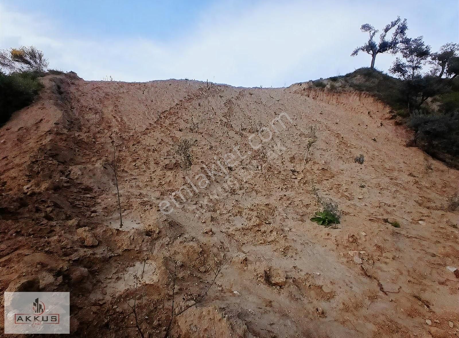 Akkuş Emlak'tan Baraj Manzaralı Zeytinlik - Görsel 22