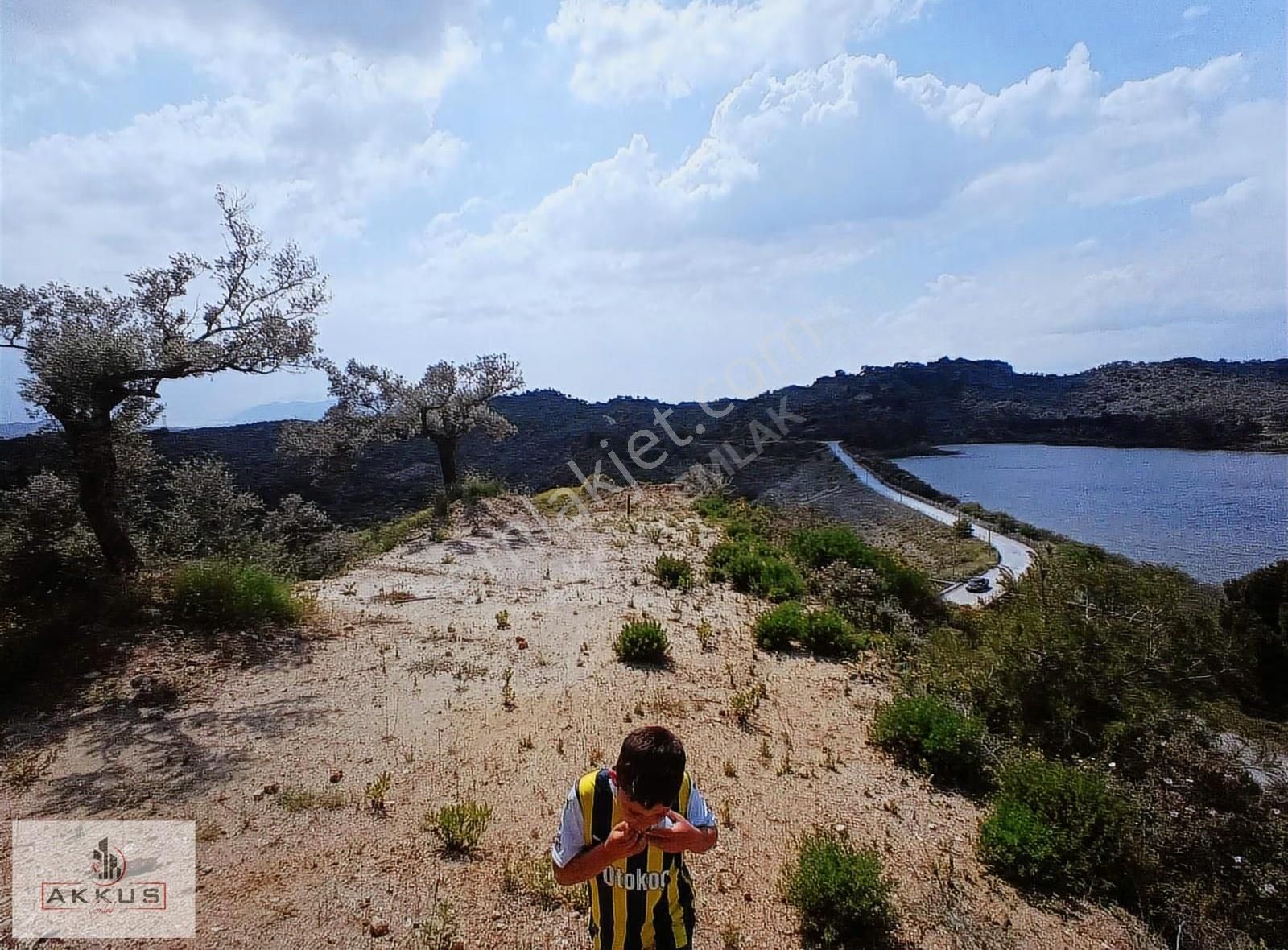 Akkuş Emlak'tan Baraj Manzaralı Zeytinlik - Görsel 20