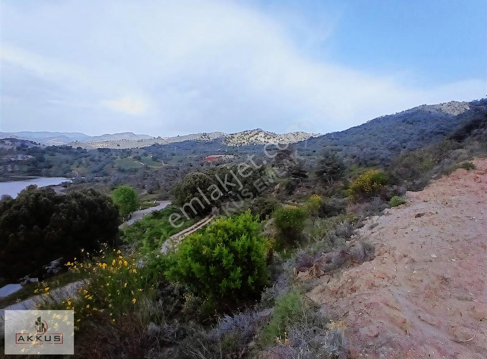 Akkuş Emlak'tan Baraj Manzaralı Zeytinlik - Görsel 21
