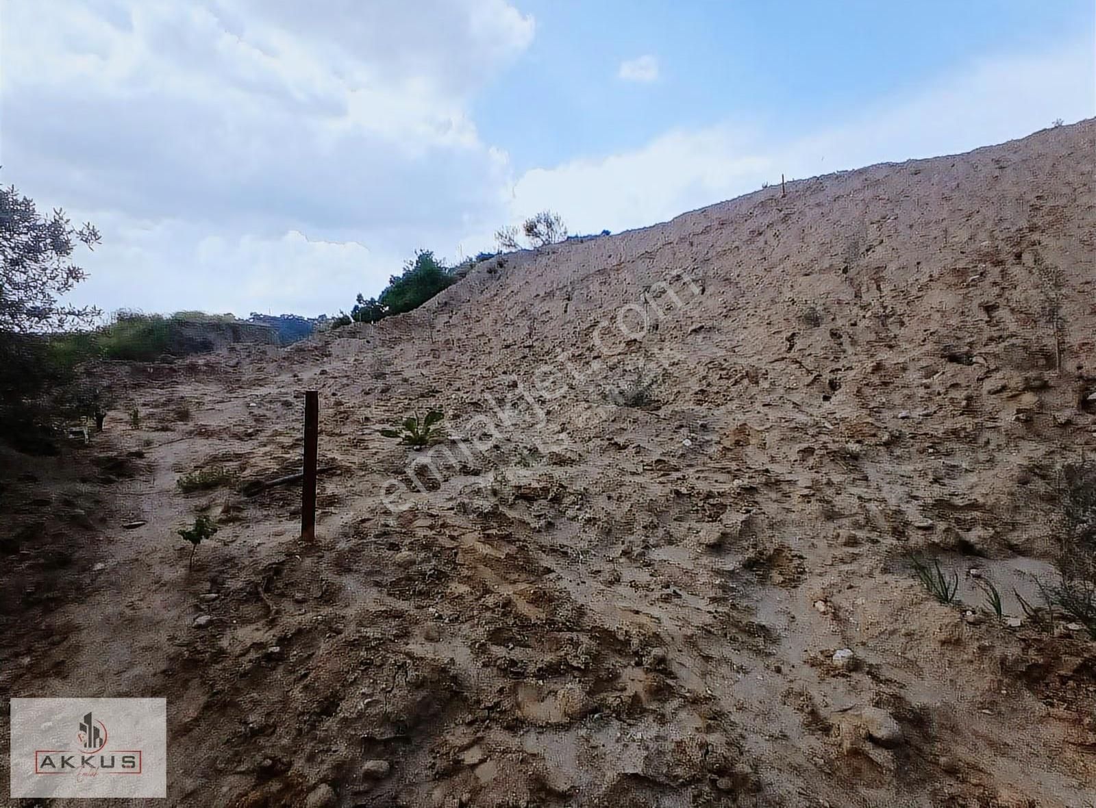 Akkuş Emlak'tan Baraj Manzaralı Zeytinlik - Görsel 4