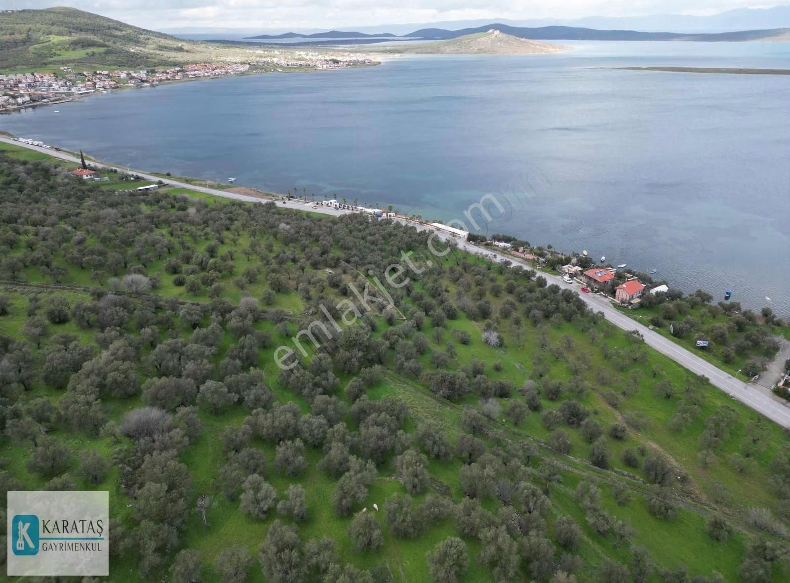 Cunda'da İmara Ve Denize Yakın Deniz Manzaralı Eşsiz Zeytinlik - Görsel 6