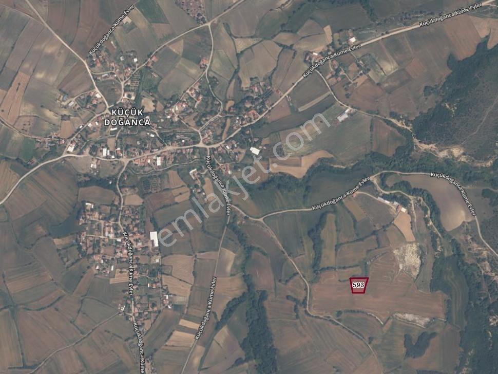 Ege Emlak'tan Küçük Doğanca Köyünde Satılık Tarla - Görsel 5