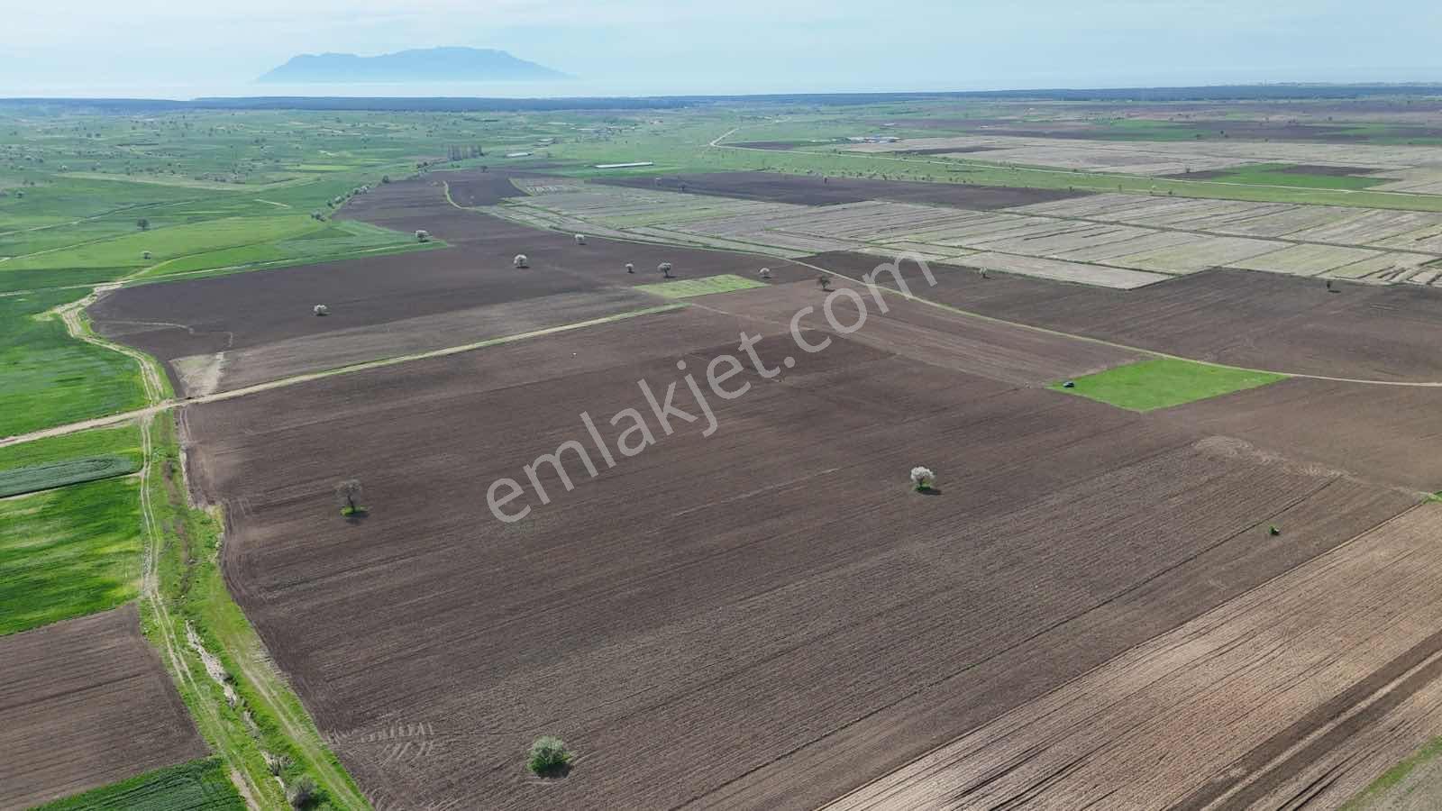 Ege Emlak Tan Enez Yenice De Sahile Yakın Arazi - Görsel 23
