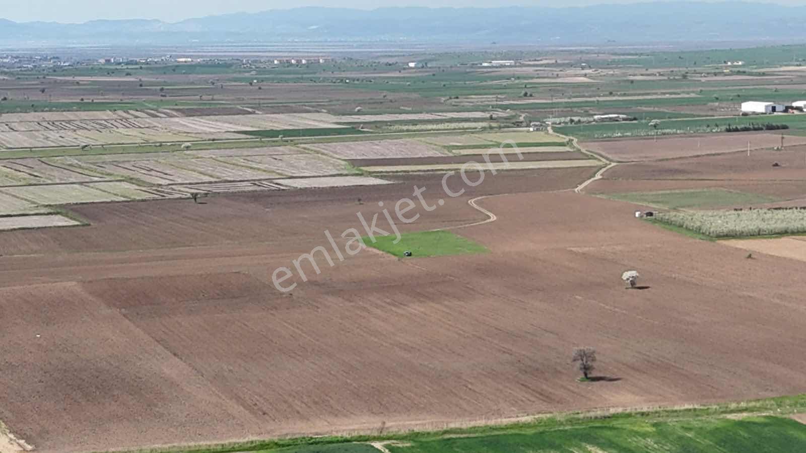 Ege Emlak Tan Enez Yenice De Sahile Yakın Arazi - Görsel 16