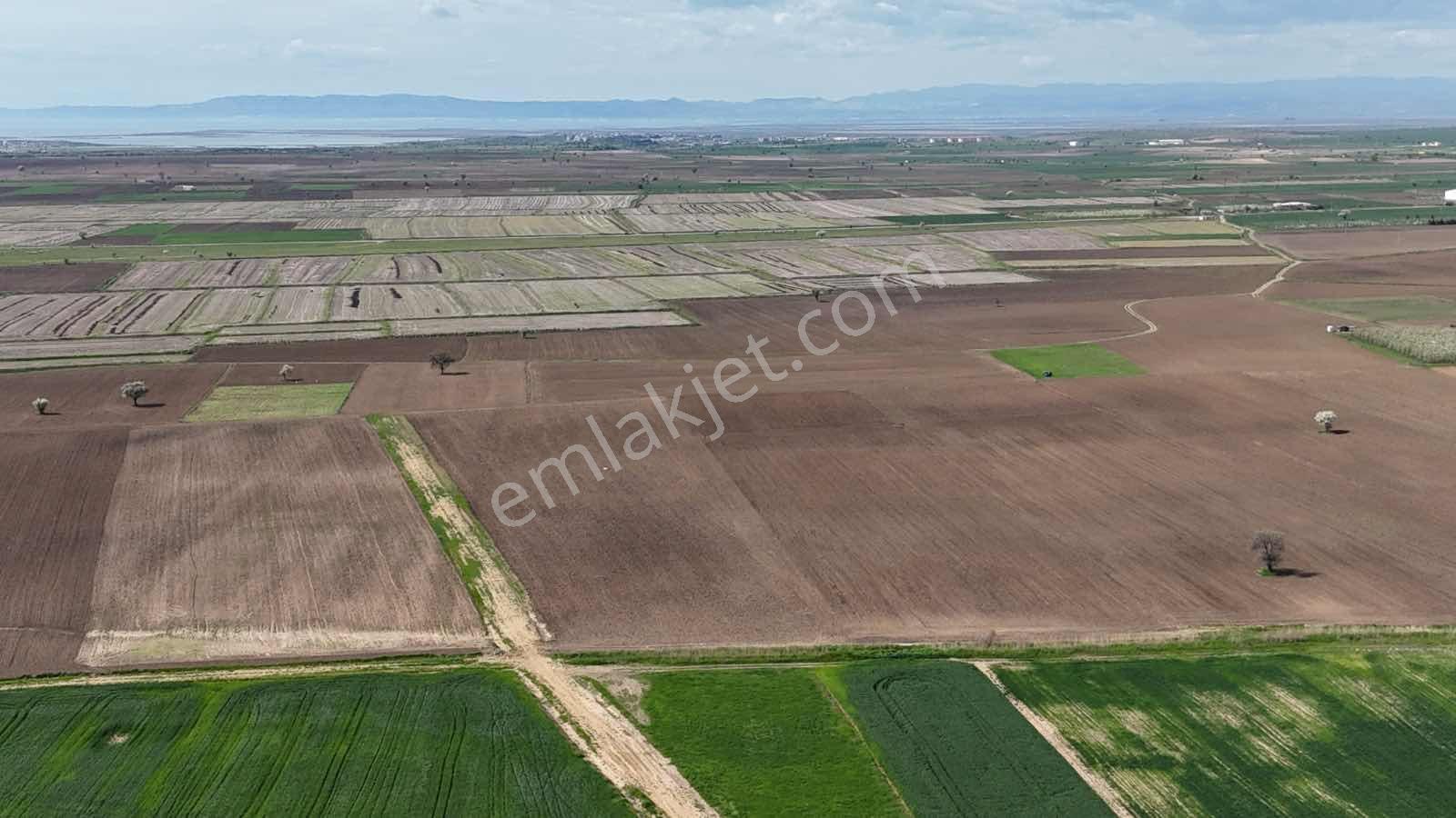 Ege Emlak Tan Enez Yenice De Sahile Yakın Arazi - Görsel 11