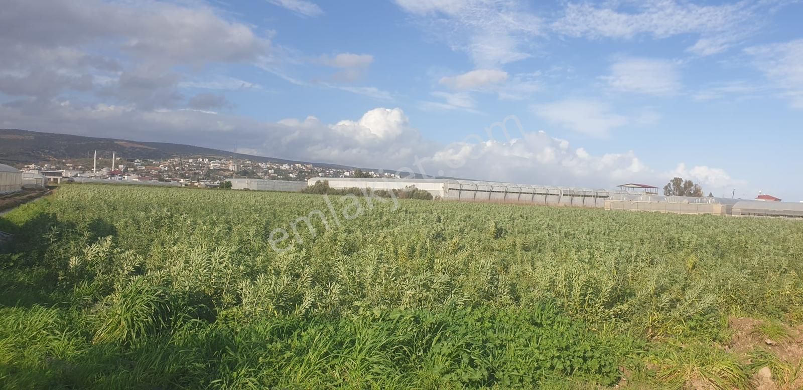 Silifke Arkarası - 17.800 M² Sera Ve Tarıma Uygun - Görsel 3