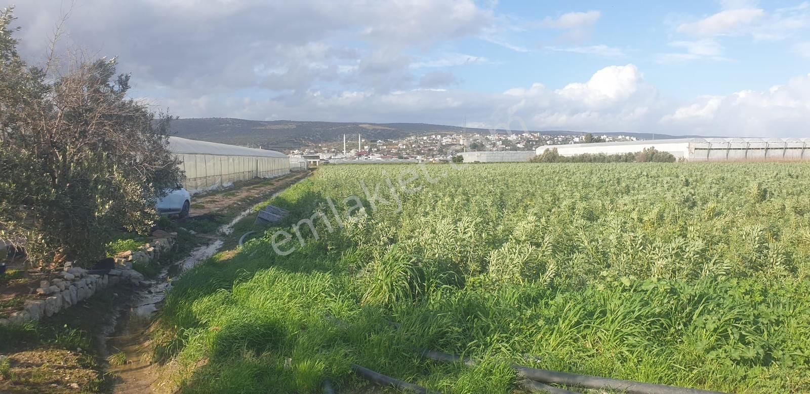 Silifke Arkarası - 17.800 M² Sera Ve Tarıma Uygun - Görsel 6