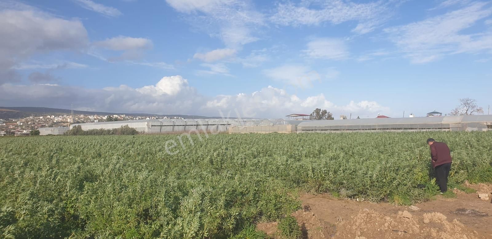 Silifke Arkarası - 17.800 M² Sera Ve Tarıma Uygun - Görsel 5