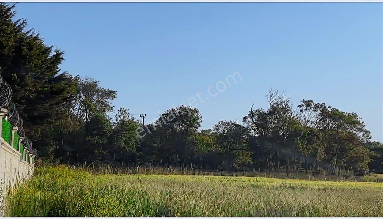 Yatırımlık Fırsat Arazi Çatalca Bahsayişte Satılık. - Görsel 6