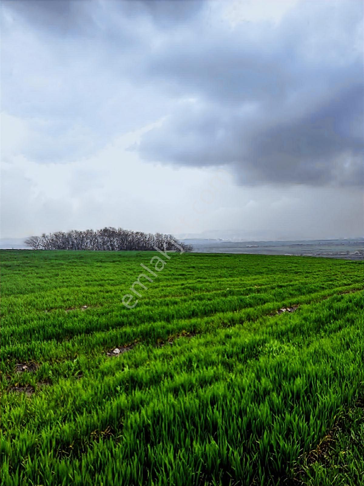 Yatırımlık Fırsat Arazi Çatalca Bahsayişte Satılık.