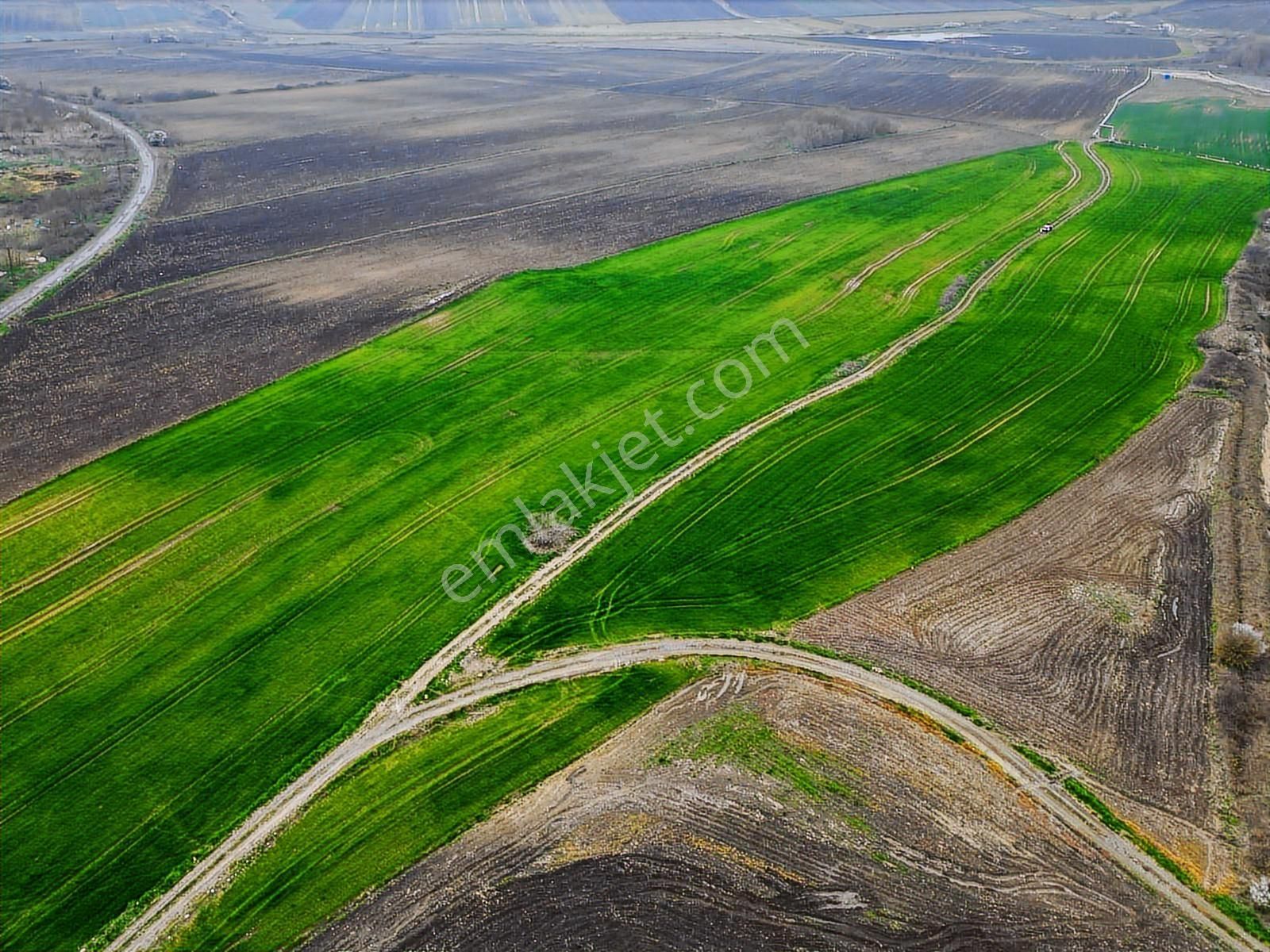 Yatırımlık Fırsat Arazi Çatalca Bahsayişte Satılık. - Görsel 2