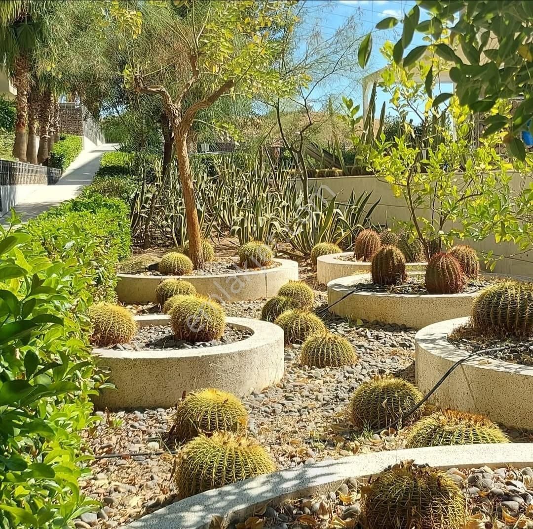 Soyak Siesta 2.etap Kiralık Arakat 1+1 Daire - Görsel 24