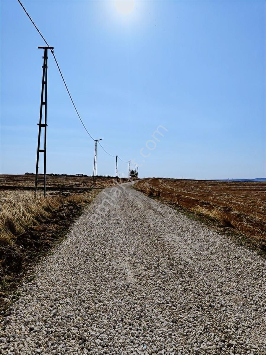 Silivri Küçükkılıçlı Yola Cephe Köyün İçinde 12 Dönüm Tarla - Görsel 9