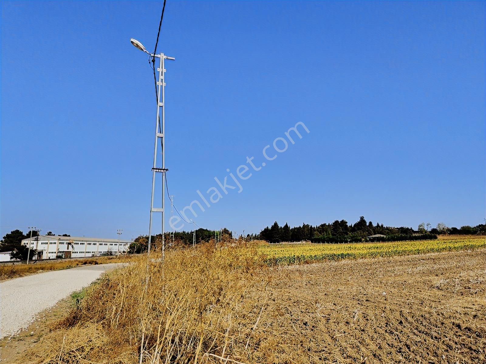 Silivri Küçükkılıçlı Yola Cephe Köyün İçinde 12 Dönüm Tarla - Görsel 2