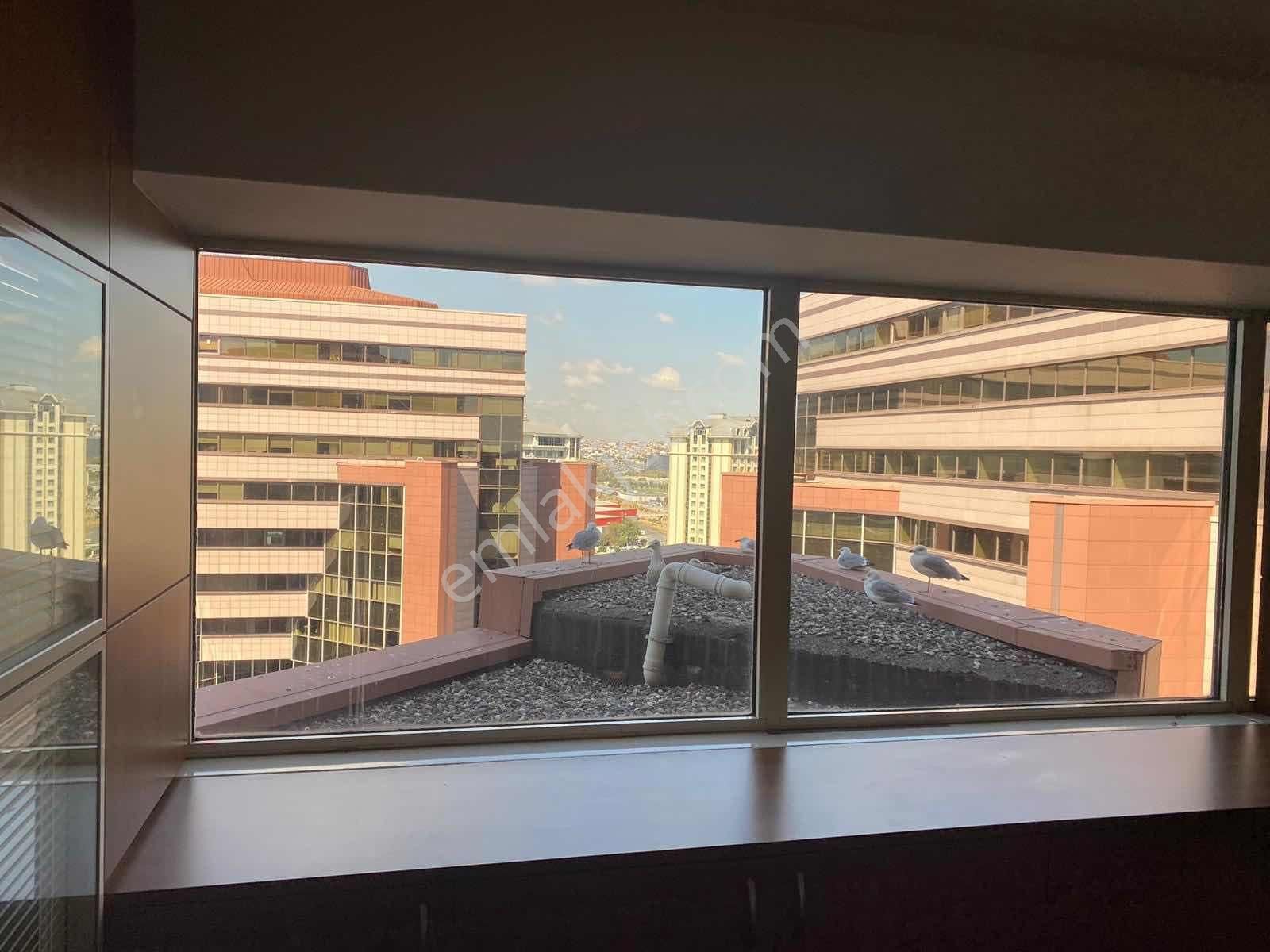 Dünya Ticaret Merkezi Egs De Net 257 M2 Ofis - Görsel 12