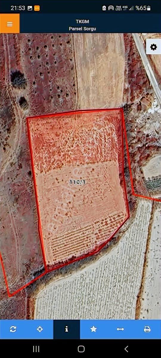 Urla Uzunkuyu Cesme Yoluna Yakın Satılık Tarla !!!