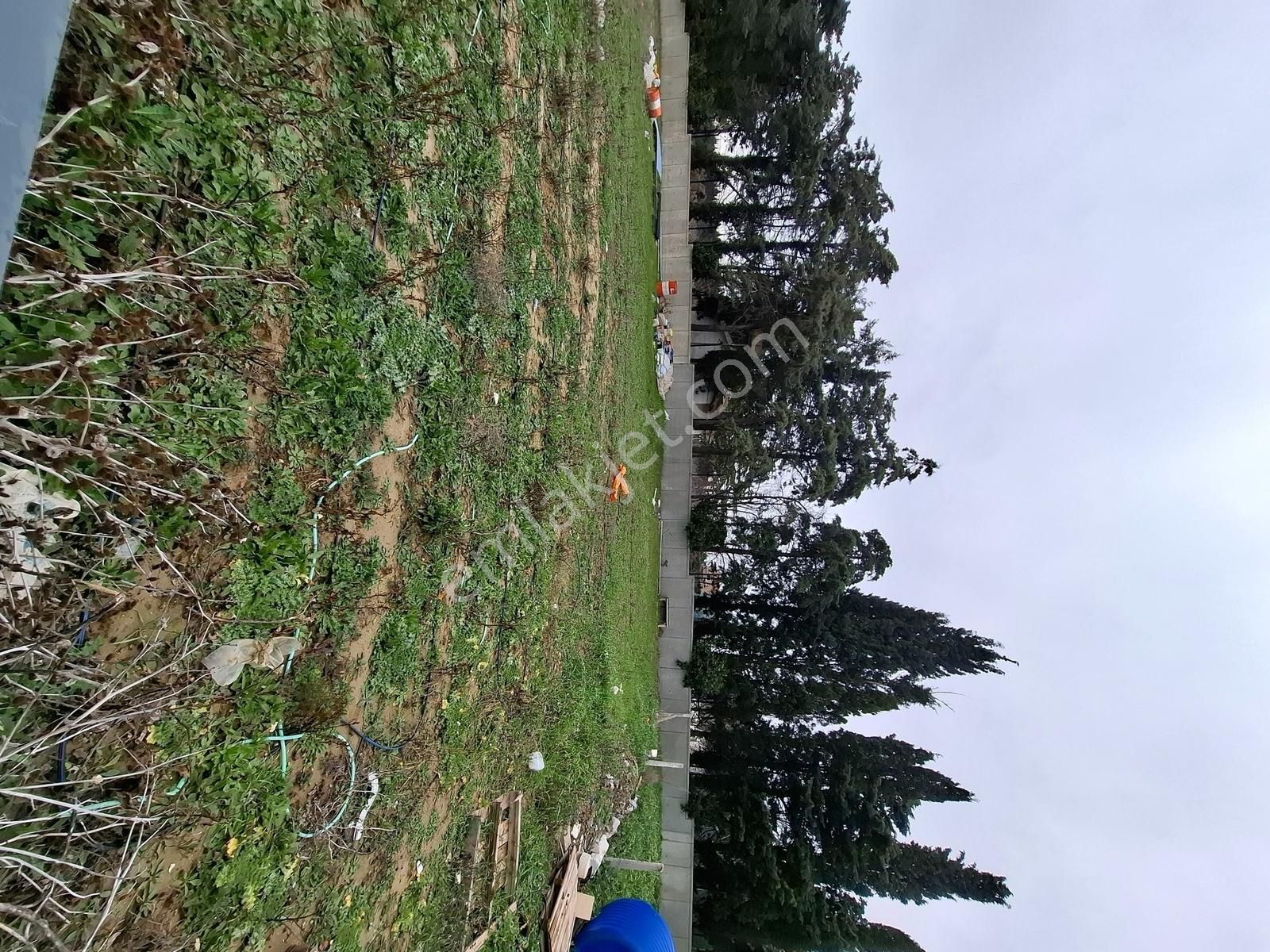 Altın Emlaktan Selimpaşada Site İçersinde Villa - Görsel 24