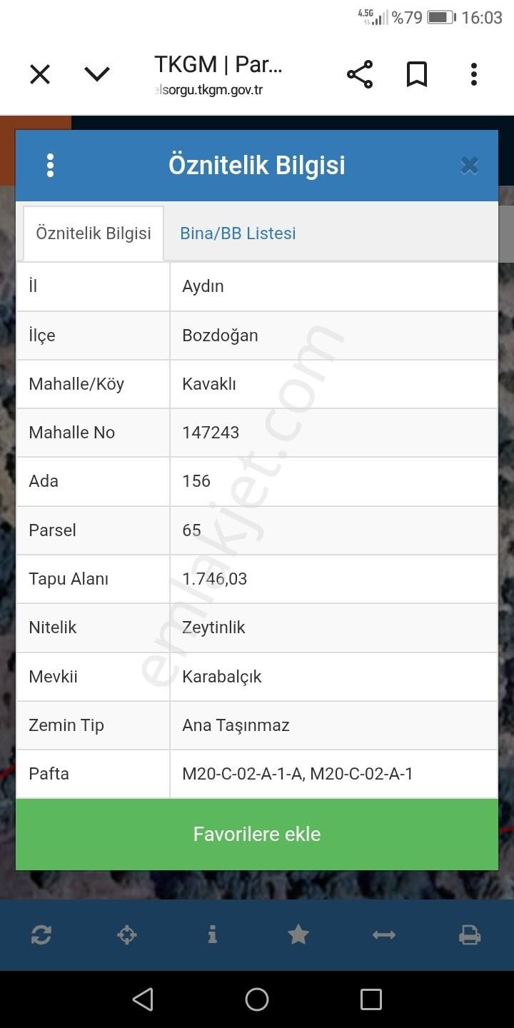 Hobi Bahçesi Zeytinlik - Görsel 4