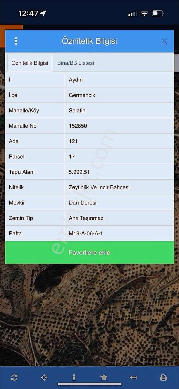 Aydın Germencik Selatin Mah. Satılık 6 Dönüm İncir Ve Zeytin Bah - Görsel 2