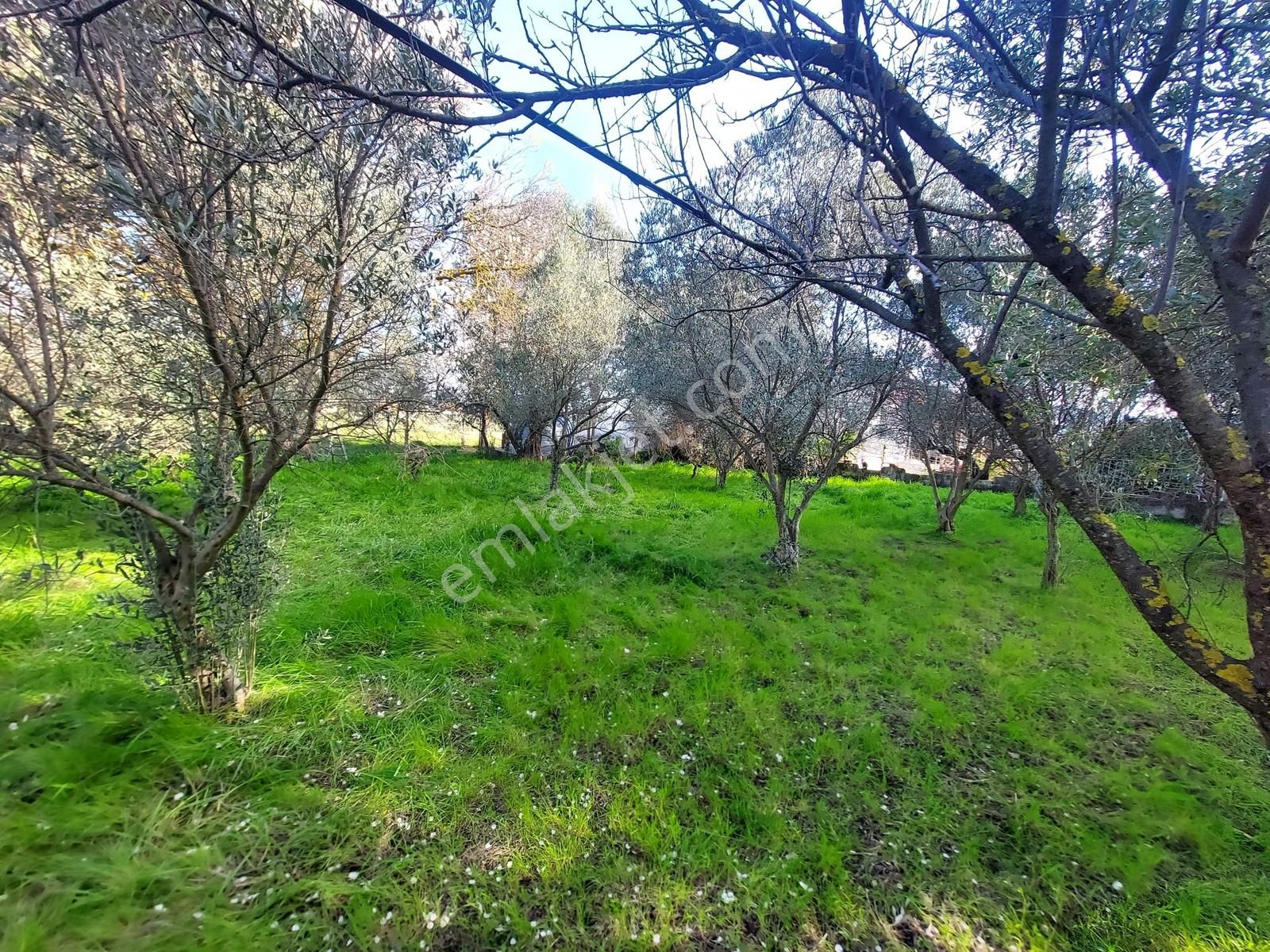 Uzunkuyu Da Çeşme Yoluna Cepheli Satılık İmarlı Arsa !!! - Görsel 28