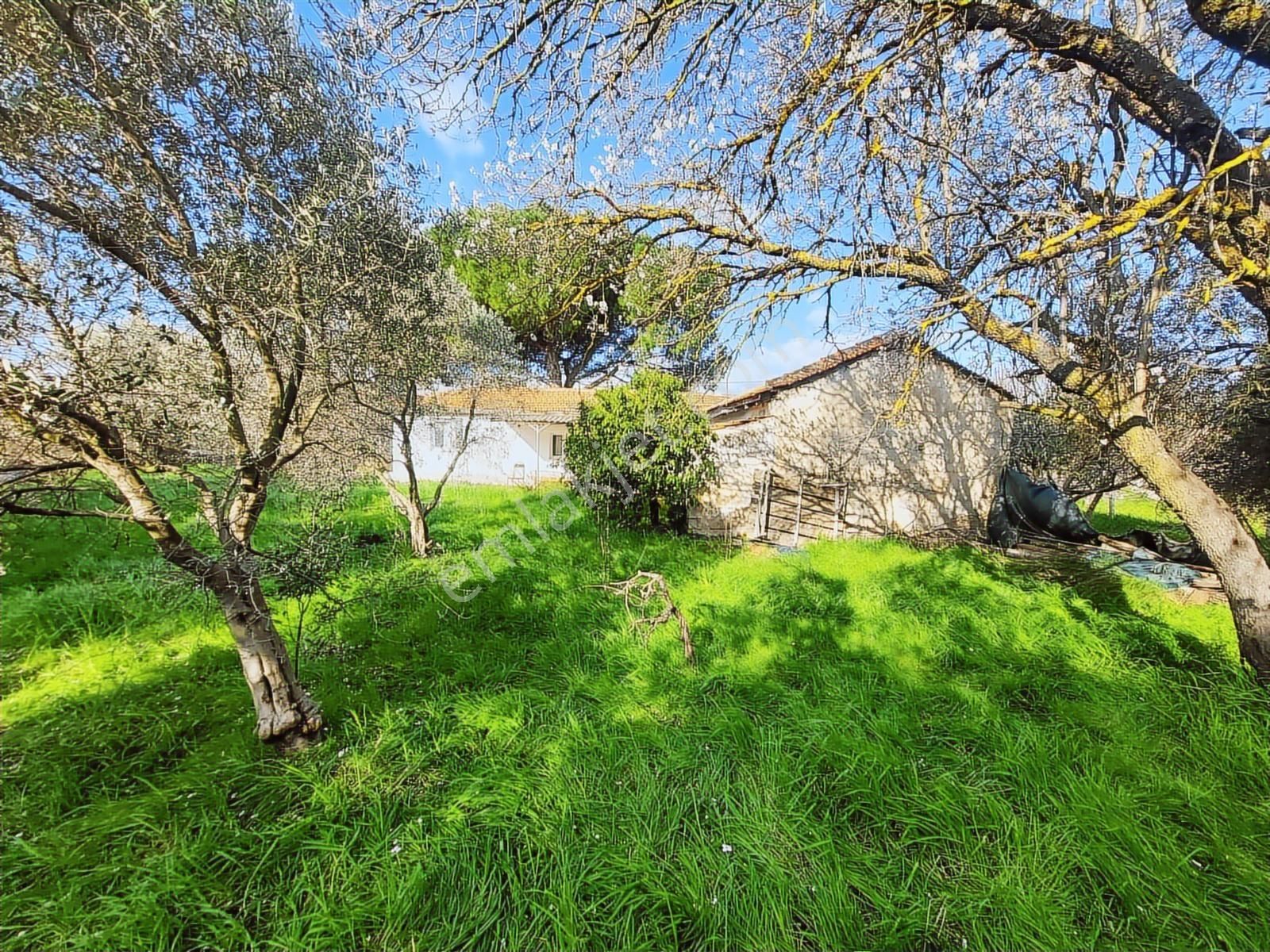 Uzunkuyu Da Çeşme Yoluna Cepheli Satılık İmarlı Arsa !!! - Görsel 25