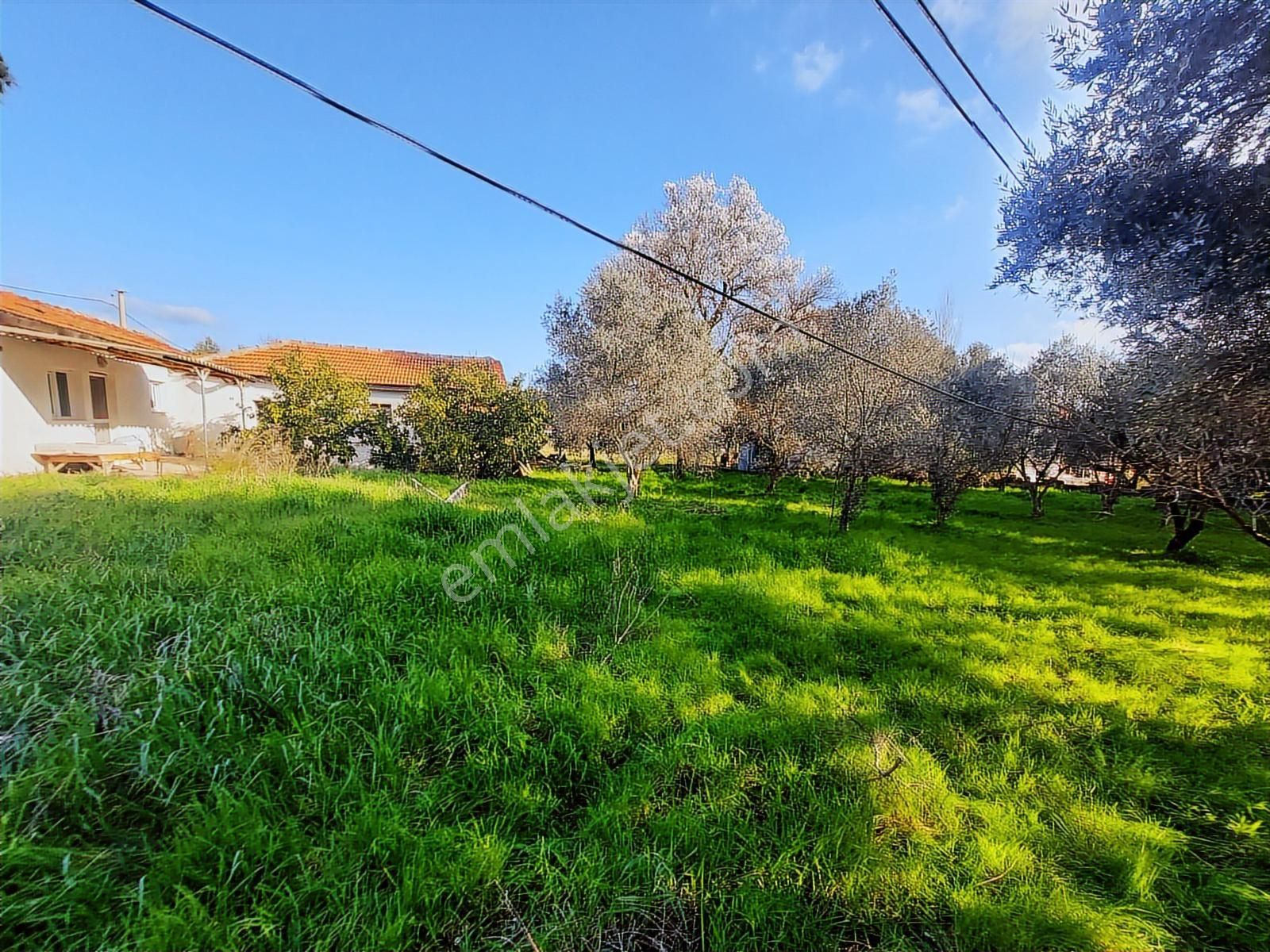 Uzunkuyu Da Çeşme Yoluna Cepheli Satılık İmarlı Arsa !!! - Görsel 2