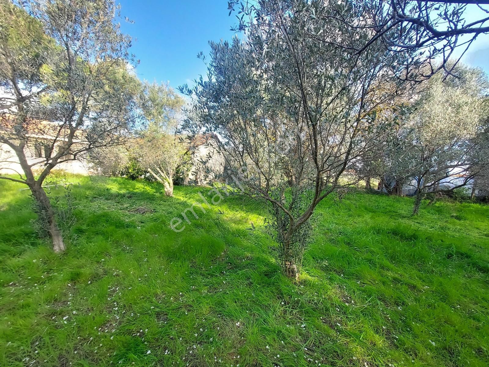 Uzunkuyu Da Çeşme Yoluna Cepheli Satılık İmarlı Arsa !!! - Görsel 13