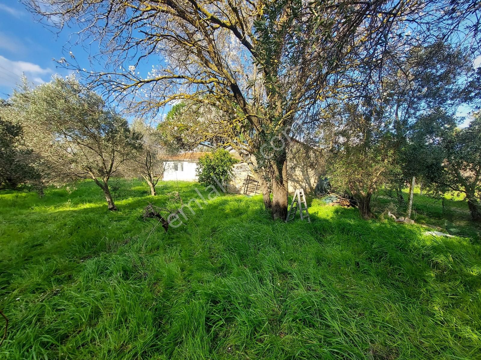 Uzunkuyu Da Çeşme Yoluna Cepheli Satılık İmarlı Arsa !!! - Görsel 12