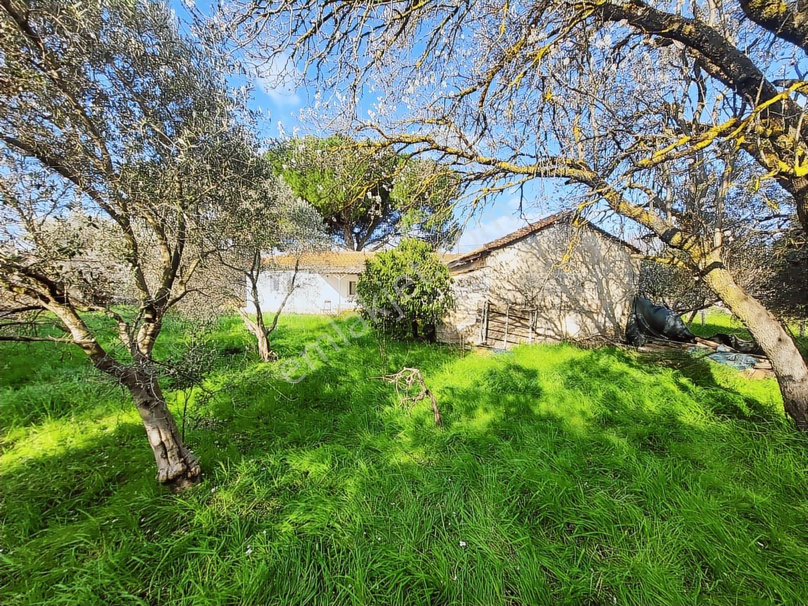 Uzunkuyu Da Çeşme Yoluna Cepheli Satılık İmarlı Arsa !!! - Görsel 27