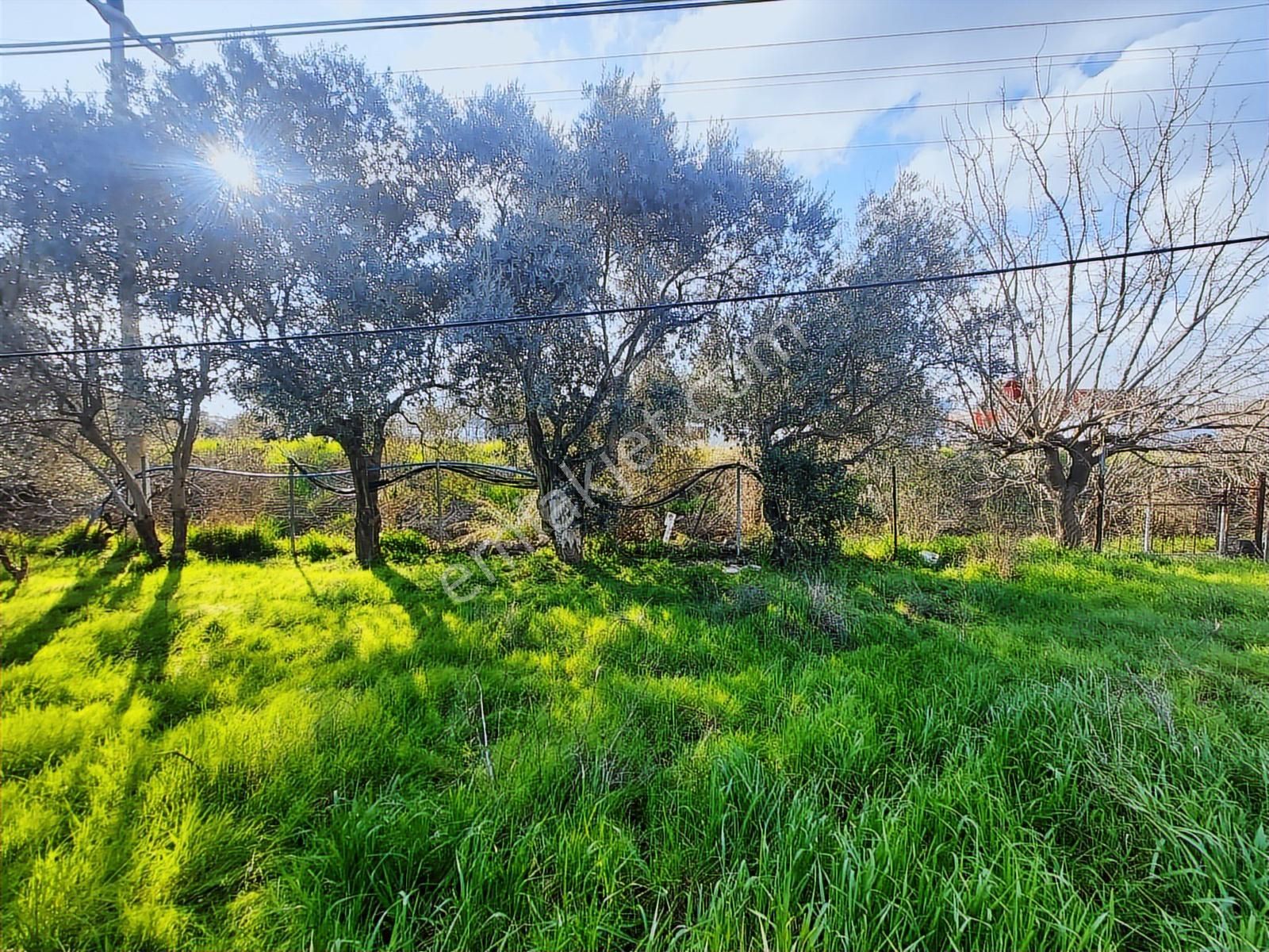 Uzunkuyu Da Çeşme Yoluna Cepheli Satılık İmarlı Arsa !!! - Görsel 3