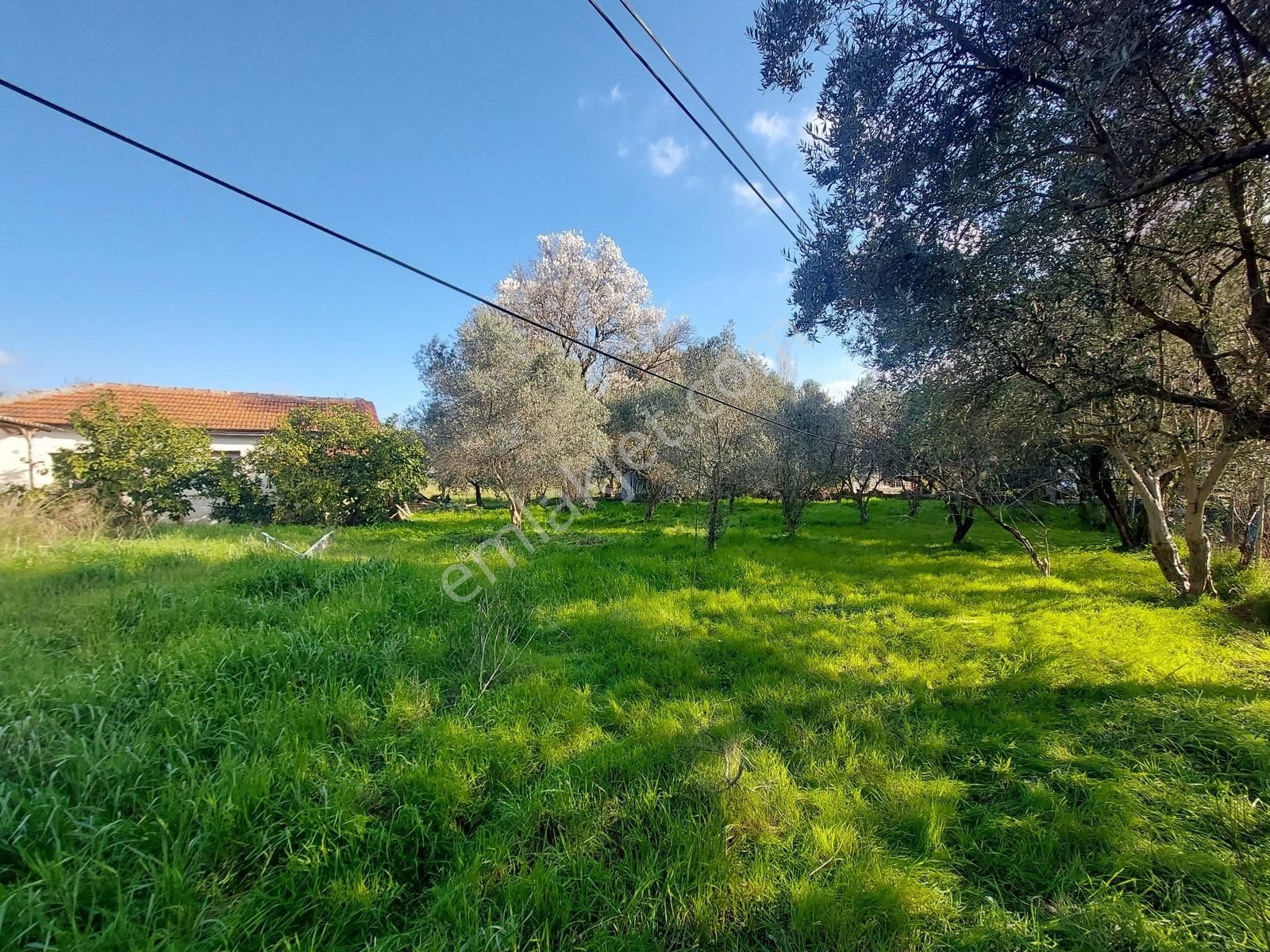 Uzunkuyu Da Çeşme Yoluna Cepheli Satılık İmarlı Arsa !!! - Görsel 7