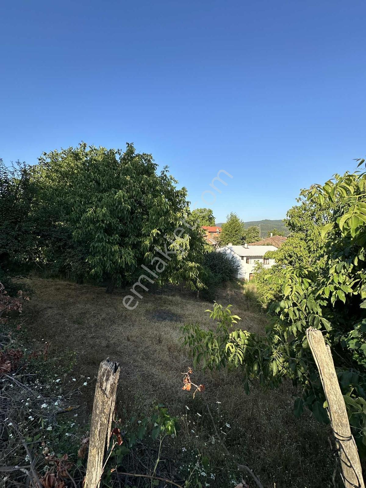 Yeşil Doğa Kazdağı Eteğinde Köy İçi 240 M2 Satılık Arsa - Görsel 2
