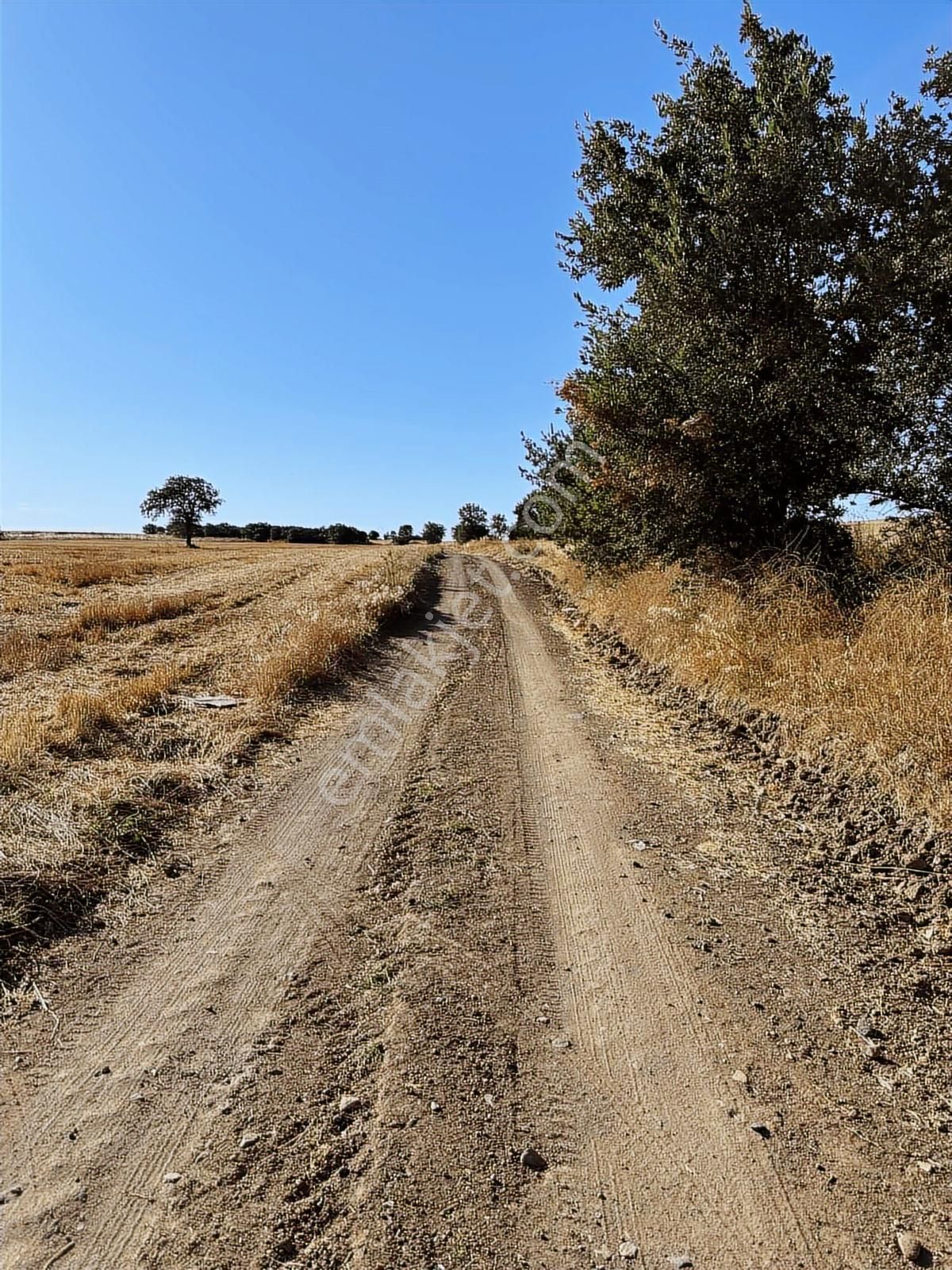 Çanakkale Mahmudiye'de Değerli Mevkide Yola Cephe 31.600m2 Tarla - Görsel 7