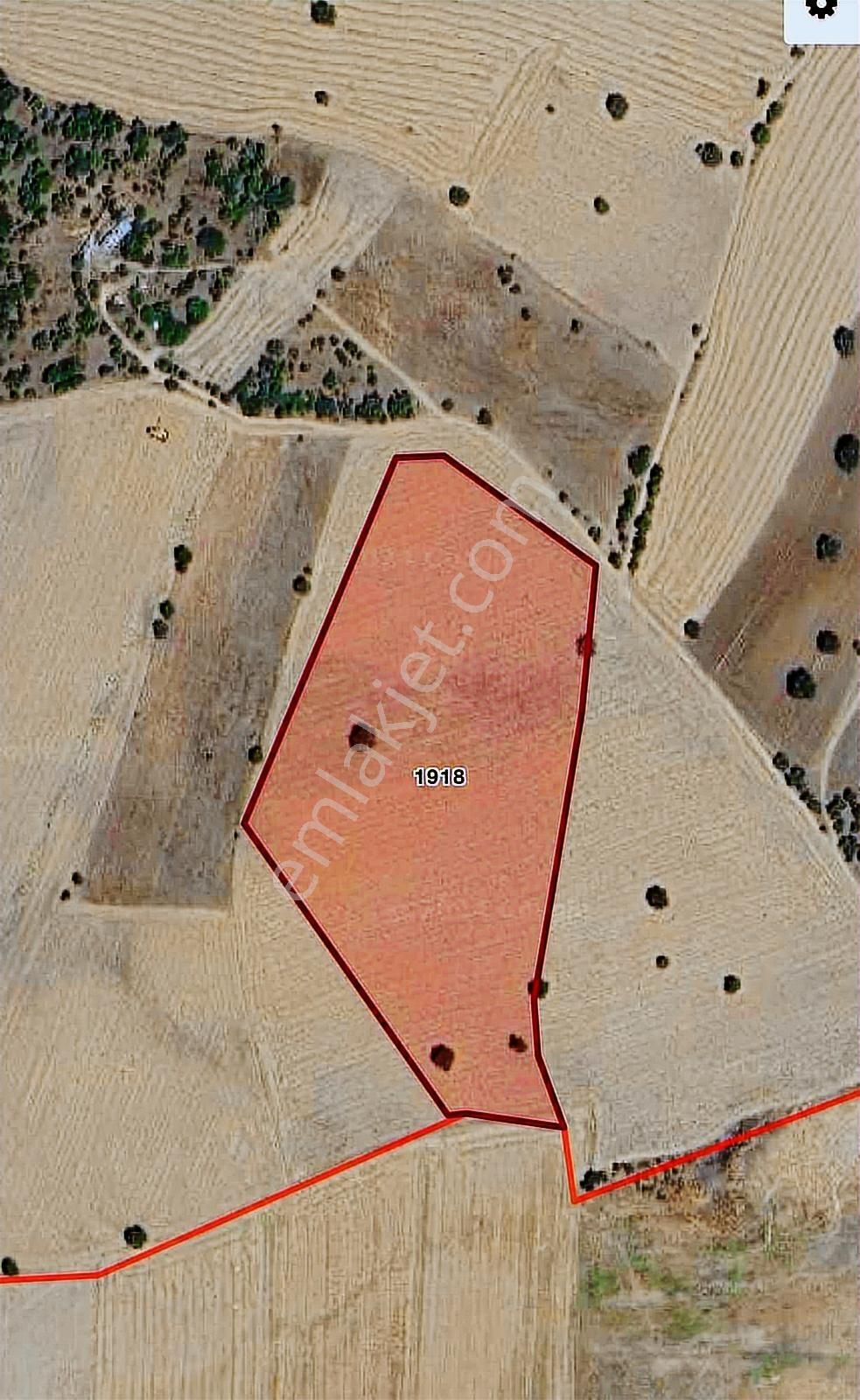 Çanakkale Mahmudiye'de Değerli Mevkide Yola Cephe 31.600m2 Tarla - Görsel 10