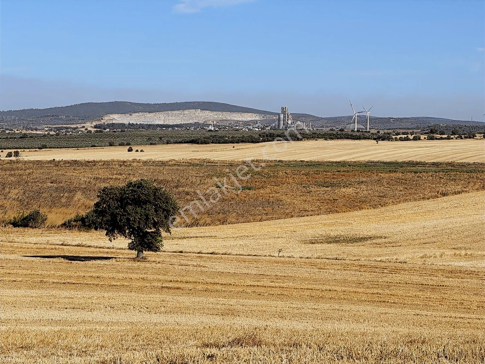 Çanakkale Mahmudiye'de Değerli Mevkide Yola Cephe 31.600m2 Tarla
