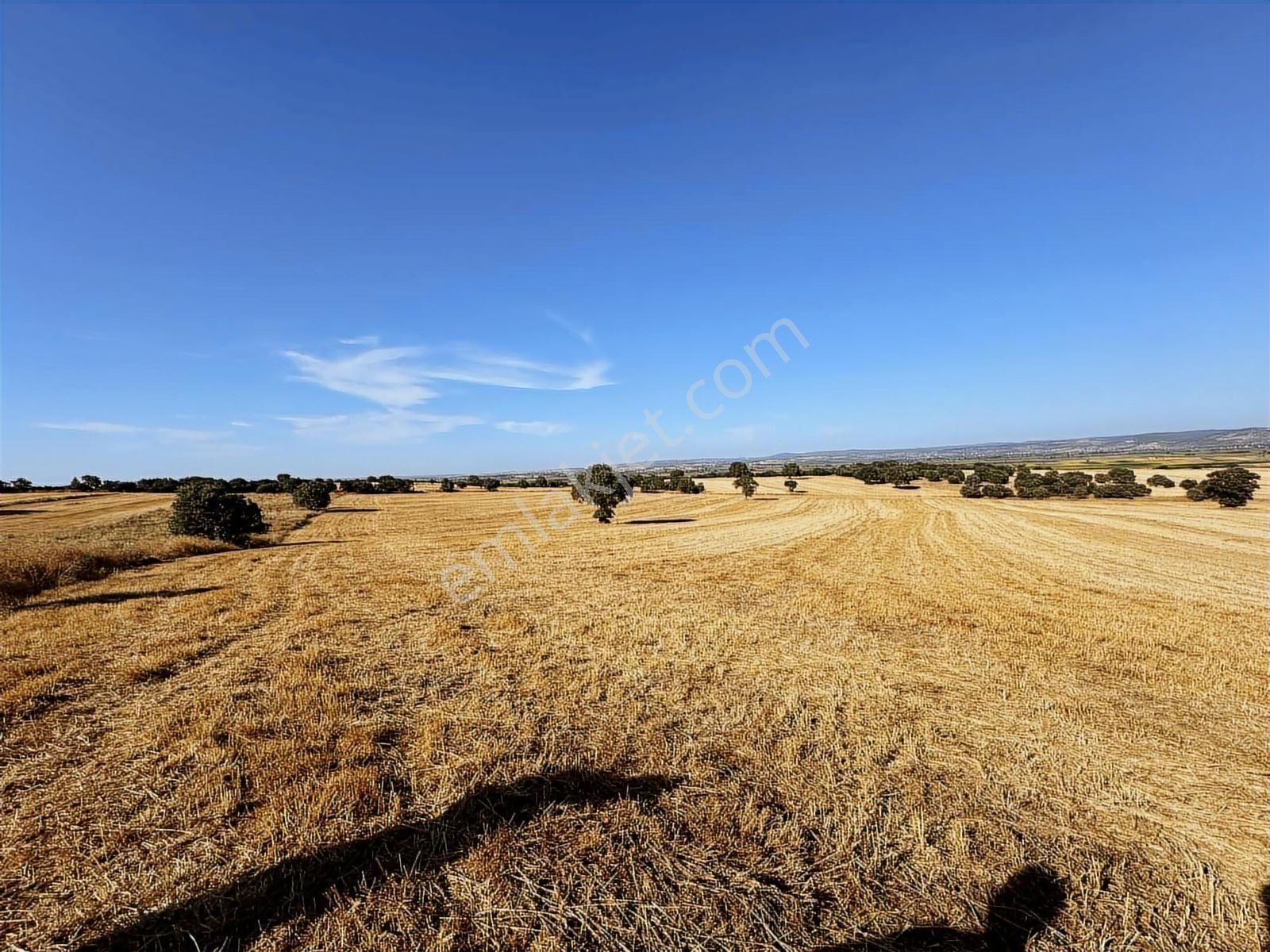 Çanakkale Mahmudiye'de Değerli Mevkide Yola Cephe 31.600m2 Tarla - Görsel 18