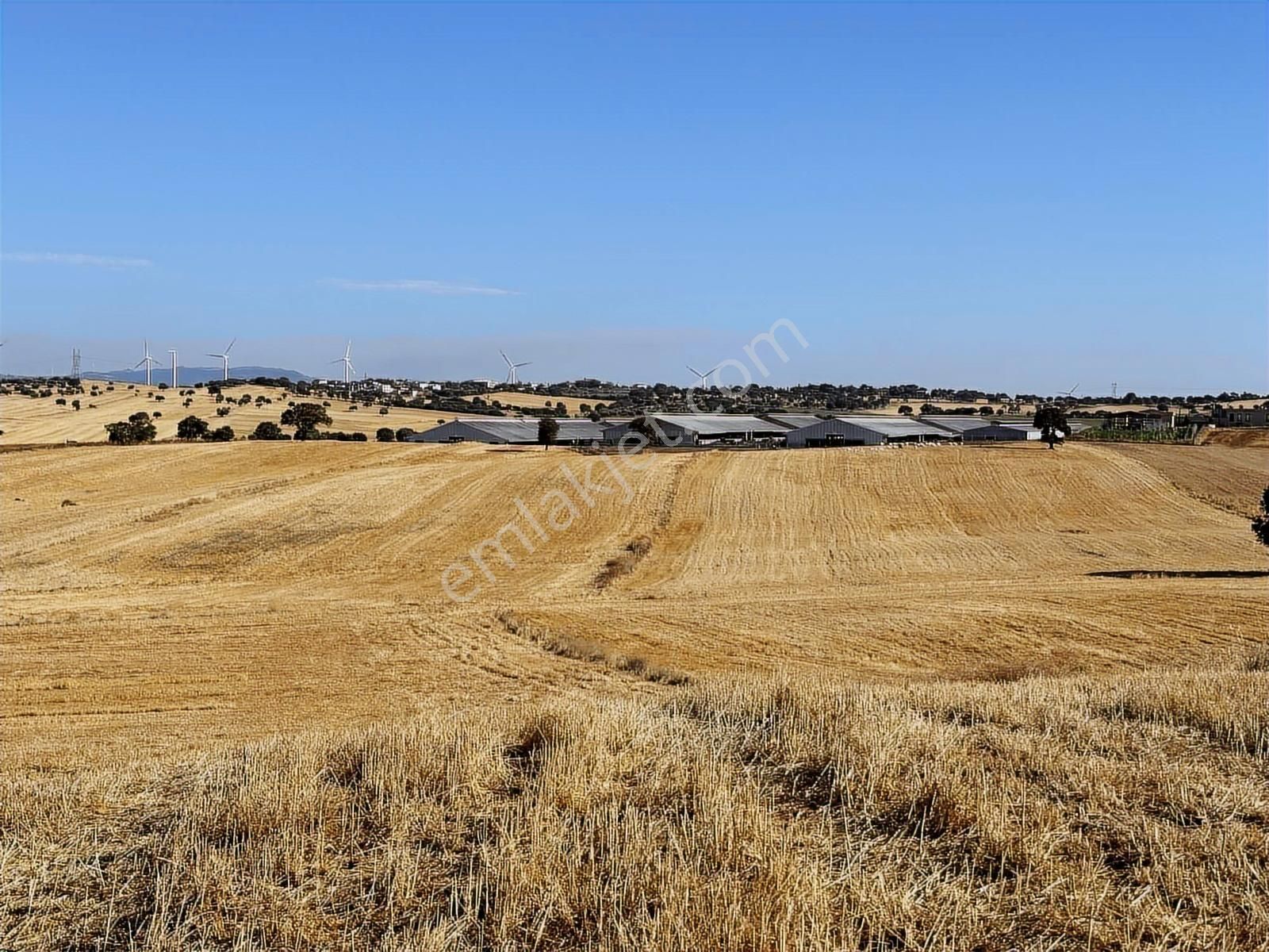 Çanakkale Mahmudiye'de Değerli Mevkide Yola Cephe 31.600m2 Tarla - Görsel 4