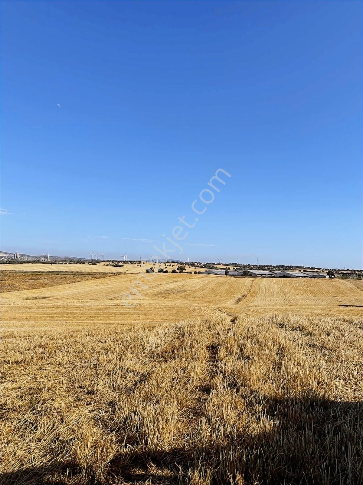 Çanakkale Mahmudiye'de Değerli Mevkide Yola Cephe 31.600m2 Tarla - Görsel 14