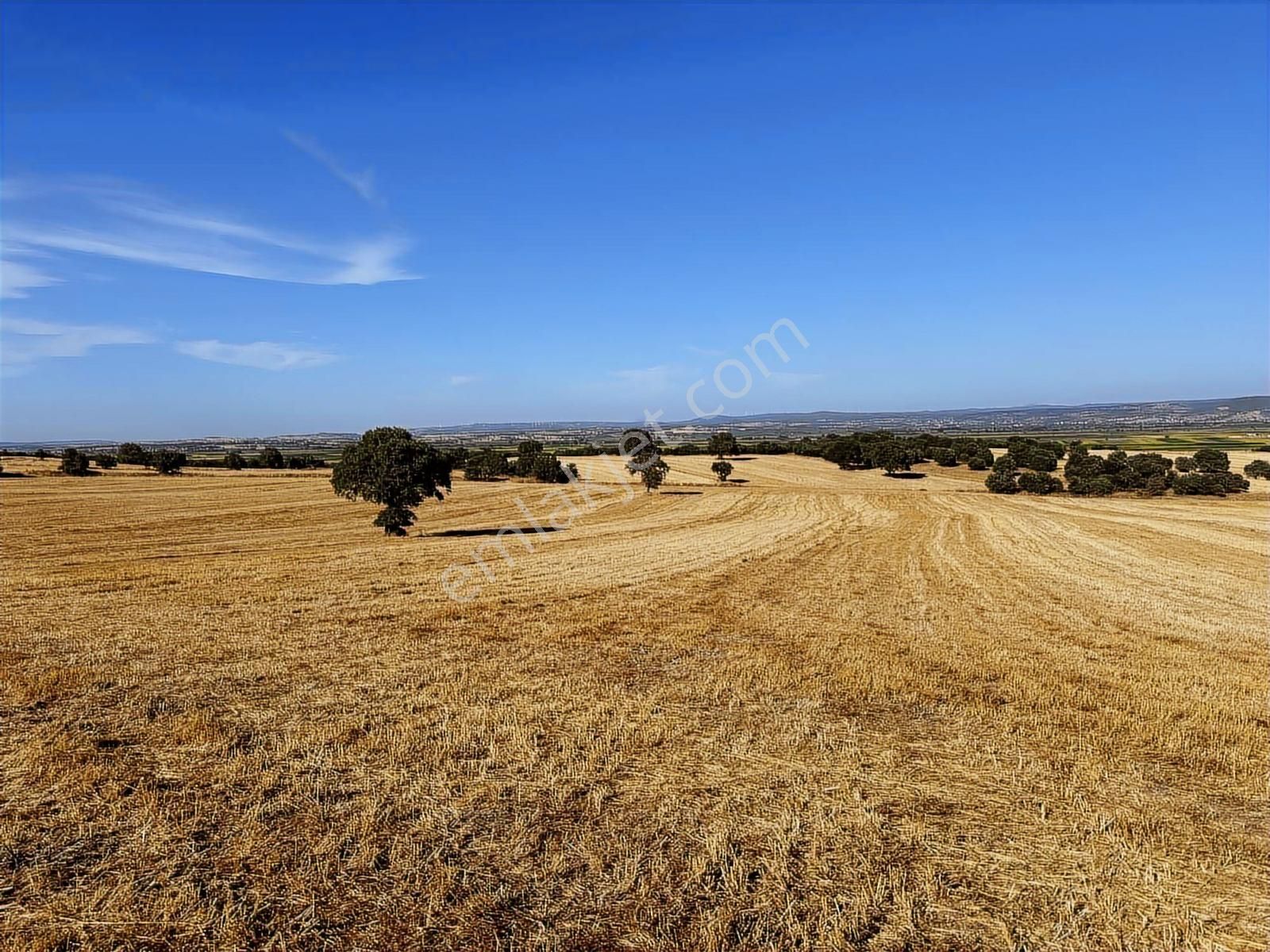 Çanakkale Mahmudiye'de Değerli Mevkide Yola Cephe 31.600m2 Tarla - Görsel 16