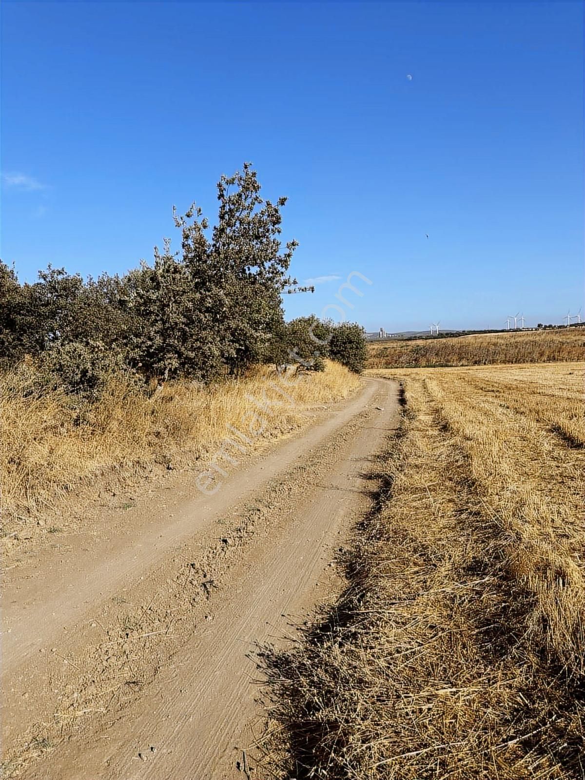 Çanakkale Mahmudiye'de Değerli Mevkide Yola Cephe 31.600m2 Tarla - Görsel 3