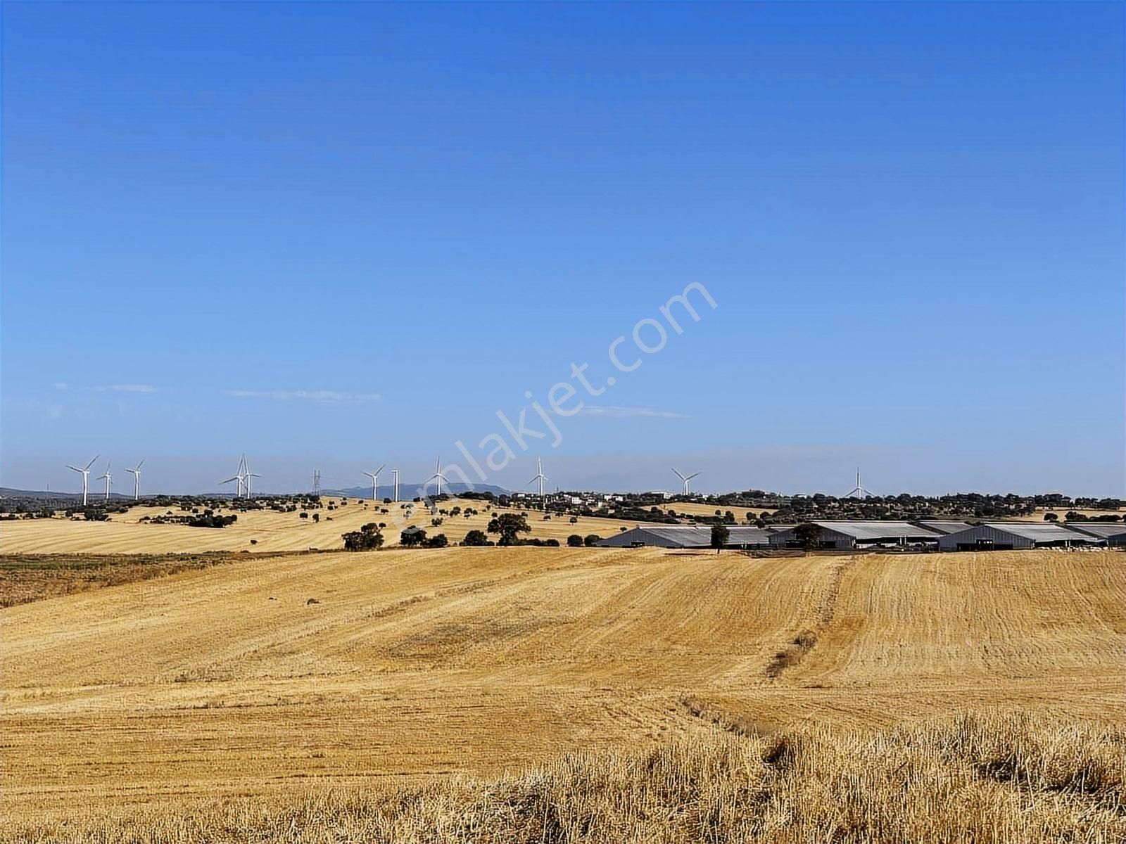 Çanakkale Mahmudiye'de Değerli Mevkide Yola Cephe 31.600m2 Tarla - Görsel 2
