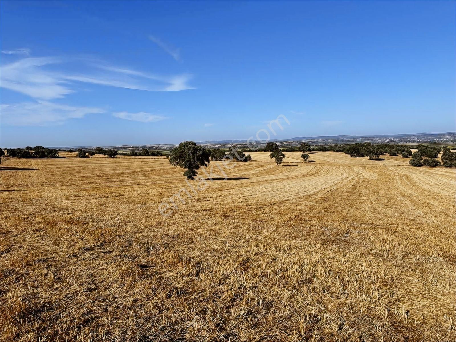 Çanakkale Mahmudiye'de Değerli Mevkide Yola Cephe 33.600m2 Tarla - Görsel 23