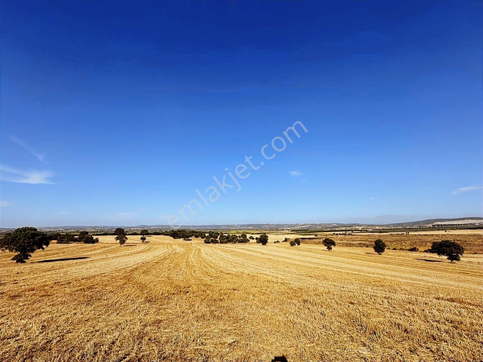 Çanakkale Mahmudiye'de Değerli Mevkide Yola Cephe 33.600m2 Tarla