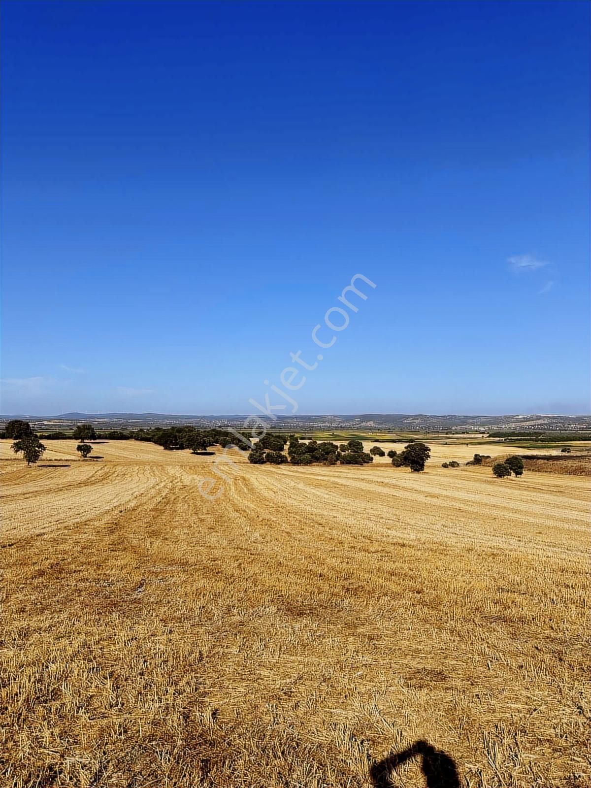 Çanakkale Mahmudiye'de Değerli Mevkide Yola Cephe 33.600m2 Tarla - Görsel 24