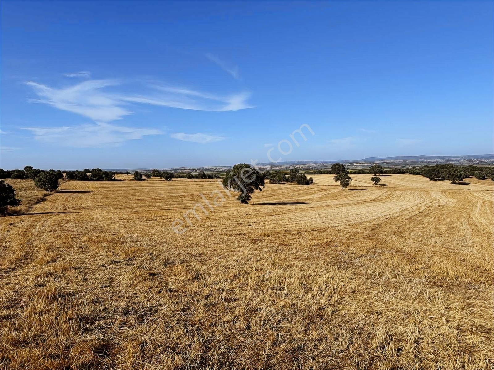 Çanakkale Mahmudiye'de Değerli Mevkide Yola Cephe 33.600m2 Tarla - Görsel 9
